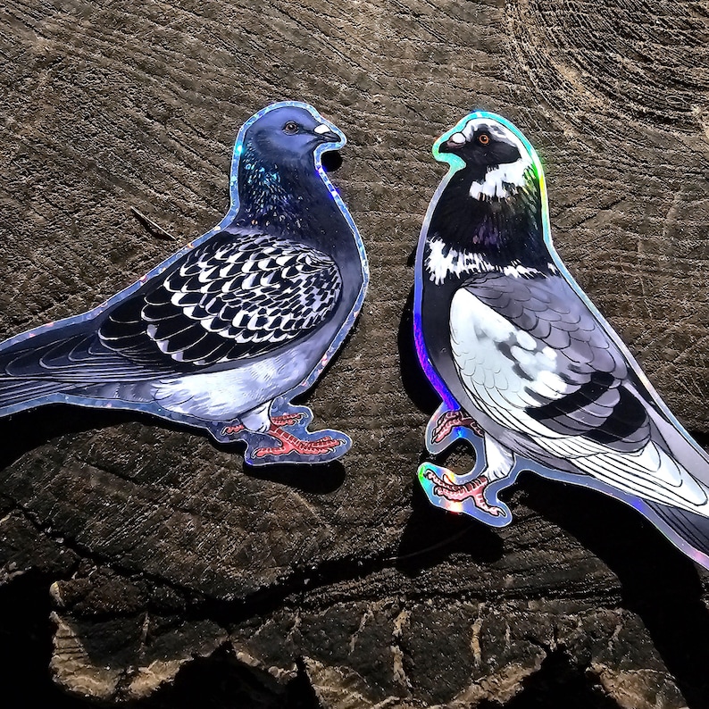 Holografisch verwilderte und zahme Tauben Sticker Bild 7