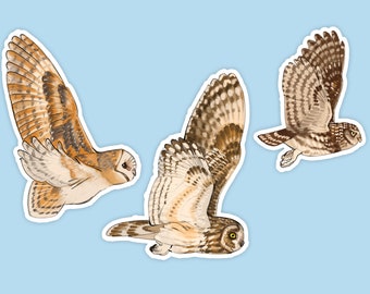 Medium sized glossy flying Barn Owl, Little Owl and Short eared owl stickers for journals or scrap booking
