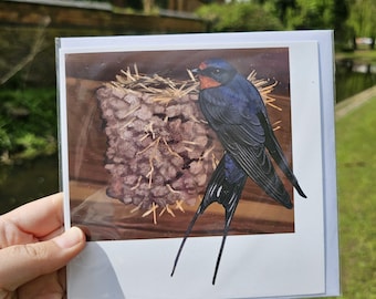 Swallow at their nest greeting card print