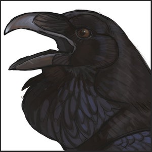 May include: A digital illustration of a raven's head, with dark plumage and an open beak. The raven's eye is brown, contrasting with the black feathers and grey beak. The artwork has a detailed, textured appearance, with visible brushstrokes.