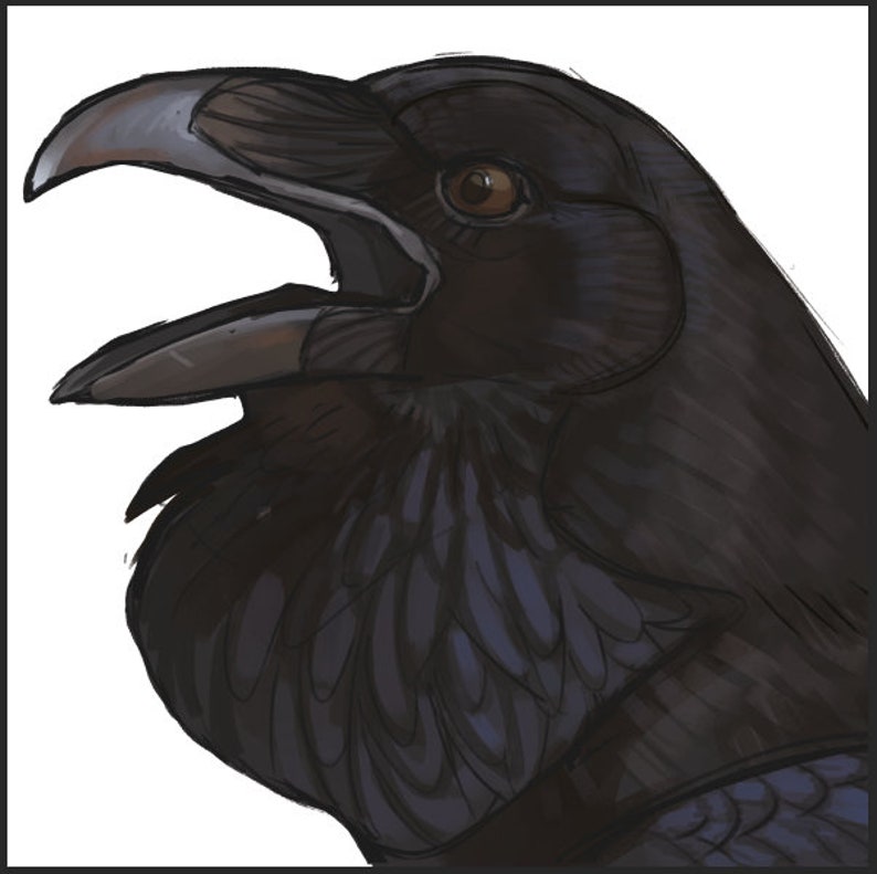 May include: A digital illustration of a raven's head, with dark plumage and an open beak. The raven's eye is brown, contrasting with the black feathers and grey beak. The artwork has a detailed, textured appearance, with visible brushstrokes.
