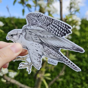 May include: A white and gray Gyrfalcon sticker with black markings on its wings. The sticker is held in a hand against a green and white background.