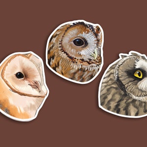 Stickers: Medium sized glossy Barn Owl, Tawny Owl and Short eared owl stickers for journals or scrap booking