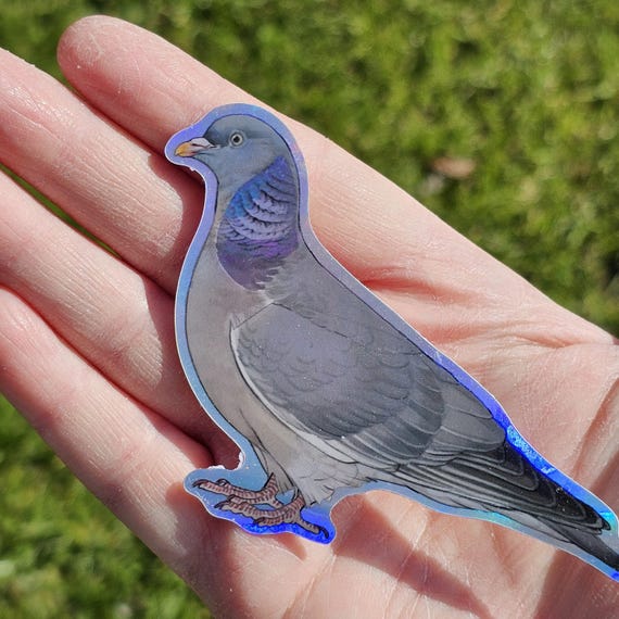 ホログラフィック鳩ステッカー：ビクトリア鳩、ロック鳩、ニコバル鳩