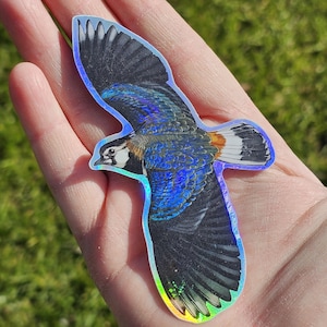 Lapwing holographic vinyl waterproof sticker for your journal or laptop