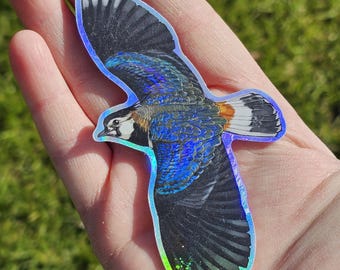 Puede incluir: Una pegatina holográfica de un pájaro en vuelo, con detalles de plumas negras, azules y blancas. La pegatina tiene un borde iridiscente y brillante. Las alas del pájaro están extendidas, mostrando su intrincado diseño.