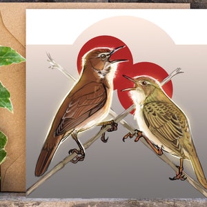 Carte de vœux Savi et Paruline sauterelle | Oiseaux | Observation des oiseaux