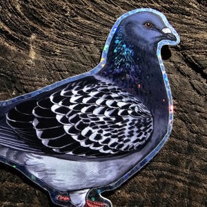 Holografisch verwilderte und zahme Tauben Sticker Bild 11