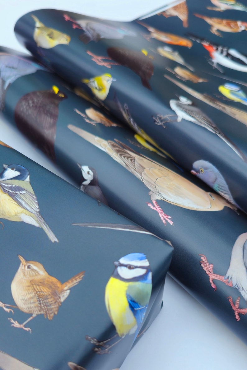 May include: Blue wrapping paper with a repeating pattern of colorful birds. The birds are illustrated in a realistic style and include a bluebird, a wren, a robin, and a sparrow.