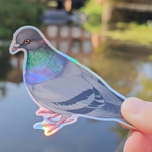 holografische Taubenaufkleber, einschließlich der Victoria-Taube, der Waldtaube, der Nikobarentaube und der Humbe-Felsentaube!