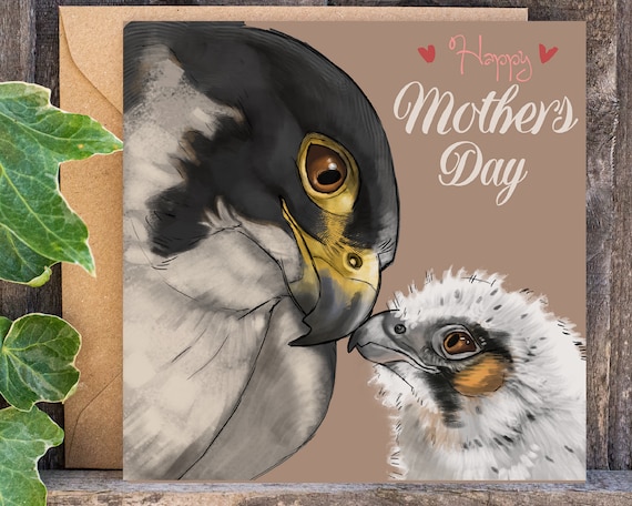 Happy Mothers Day Card | Peregrine Falcon