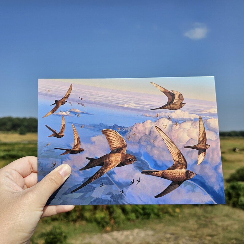 Puede incluir: Una postal con una pintura de aves marrones volando contra un cielo nublado. La obra de arte muestra varias aves con las alas extendidas, creando una sensaci&oacute;n de movimiento. La postal est&aacute; sostenida en una mano, con un paisaje natural visible.