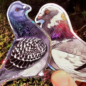 K&ouml;nnte beinhalten: Zwei Aufkleber mit detaillierten Illustrationen von Tauben. Eine Taube ist &uuml;berwiegend lila mit schwarz-wei&szlig;en Fl&uuml;gelmustern. Die andere ist grau mit roten und violetten Akzenten. Beide Aufkleber haben einen holografischen Rand.