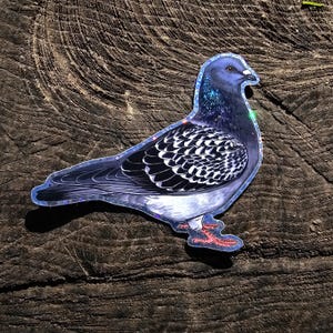 Holografisch verwilderte und zahme Tauben Sticker Bild 9