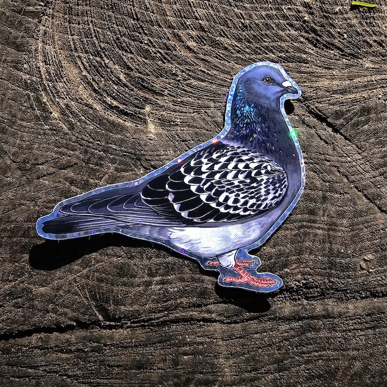 Holografisch verwilderte und zahme Tauben Sticker Bild 9