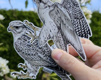 May include: Two black and white illustrated stickers of a Gyrfalcon, a type of falcon. The stickers are on a green background with white flowers.