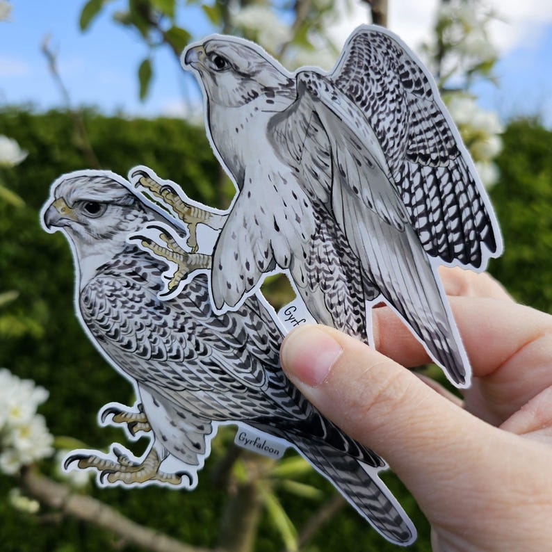 May include: Two black and white illustrated stickers of a Gyrfalcon, a type of falcon. The stickers are on a green background with white flowers.