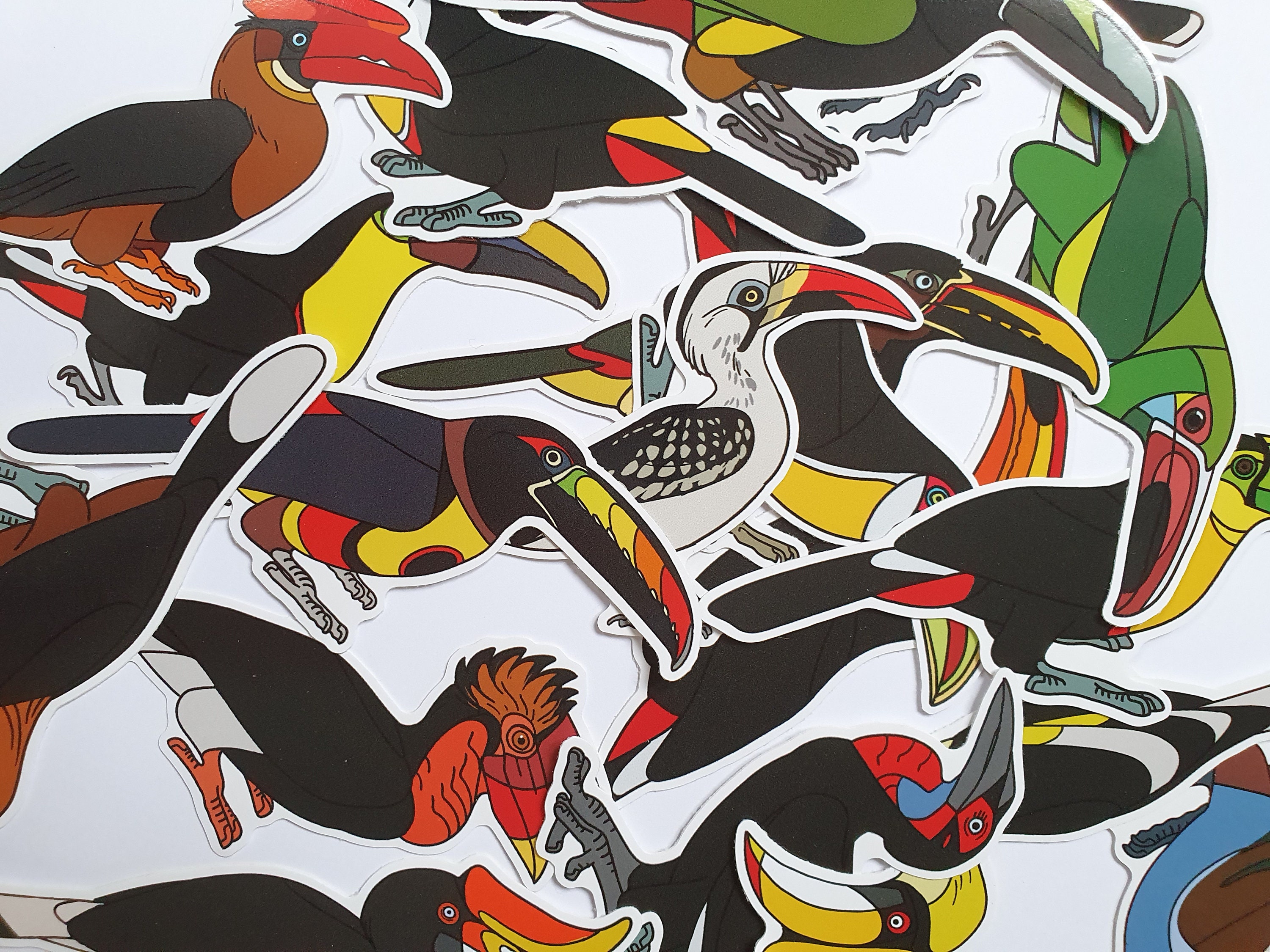 Toucan and Hornbill species Stickers Fiery billed aracari | Etsy