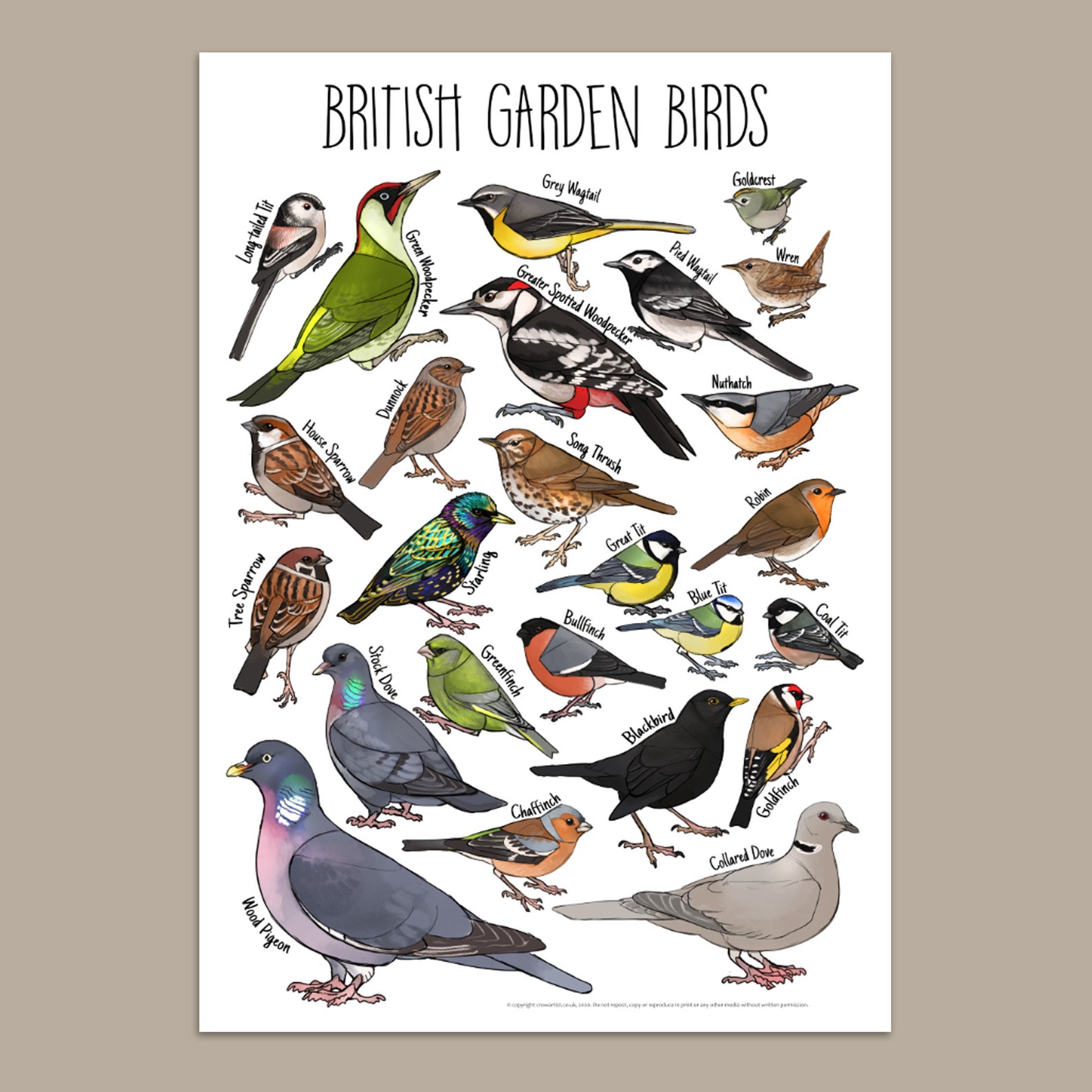 British Garden Birds Identification chart and illustration | Etsy
