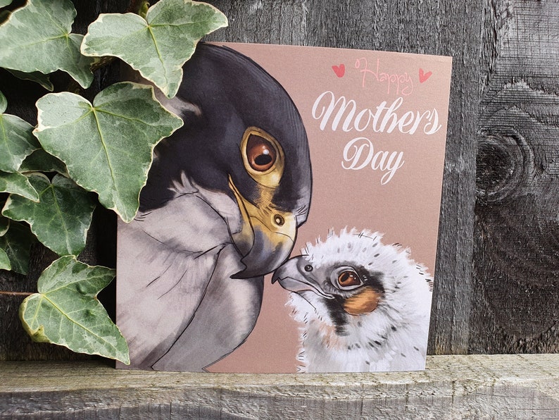 May include: A Mother's Day card featuring a watercolour illustration of a mother falcon and her chick. The card is pink with white text that reads "Happy Mother's Day".