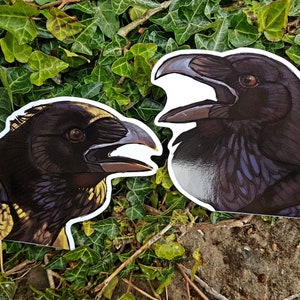May include: Two raven stickers with detailed illustrations. The ravens are shown in profile, with dark feathers, open beaks, and sharp eyes. The stickers are set against a backdrop of green foliage and a stone surface.