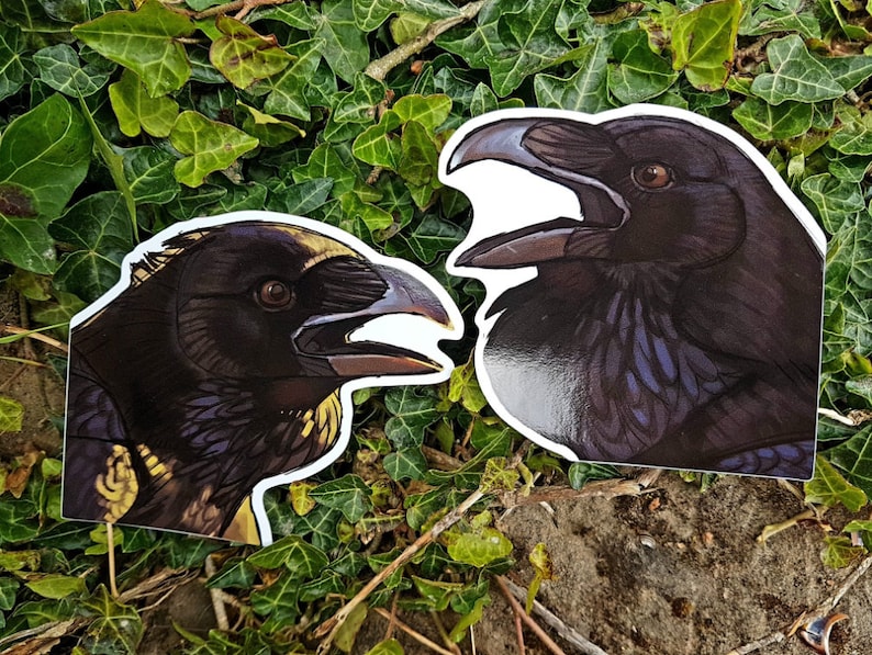 May include: Two raven stickers with detailed illustrations. The ravens are shown in profile, with dark feathers, open beaks, and sharp eyes. The stickers are set against a backdrop of green foliage and a stone surface.