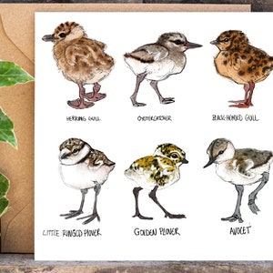 Küken Illustration Grußkarte: Vogel Art