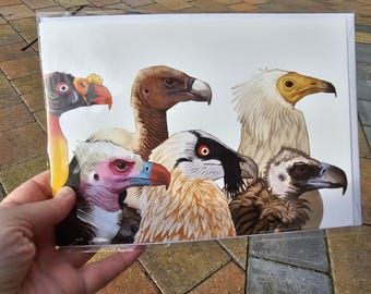 Vulture Species large greeting card