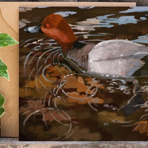 Carte de vœux d’automne Pochard commune | | de carte de canard art du canard