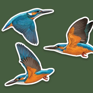 Three Kingfishers flying vinyl sticker that is waterproof with a glossy shine