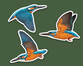 Three Kingfishers flying vinyl sticker that is waterproof with a glossy shine