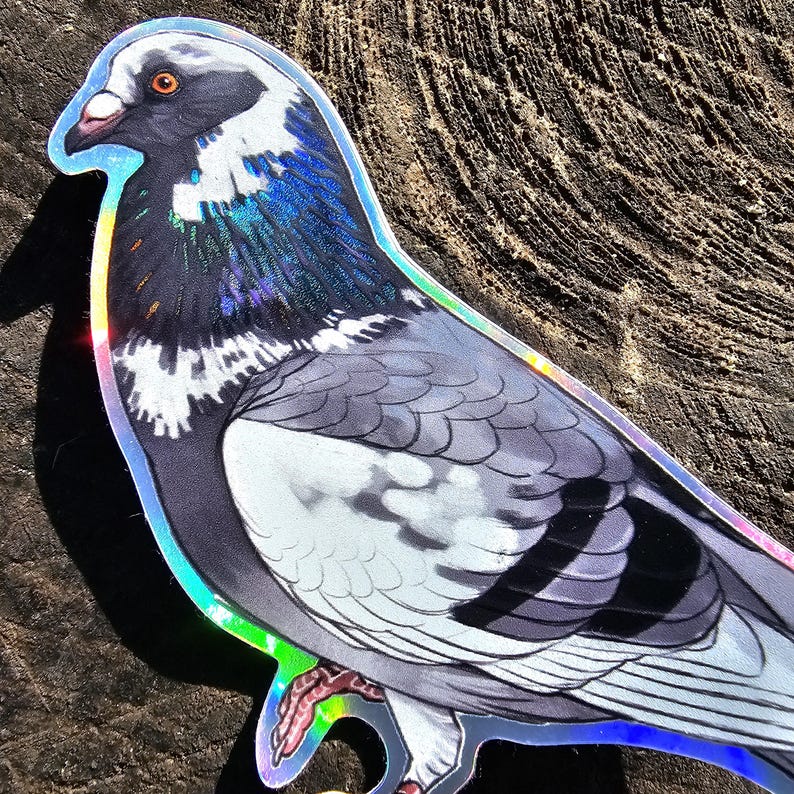 Holografisch verwilderte und zahme Tauben Sticker Bild 8