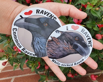 Set di adesivi Raven & Crow: adesivi in vinile lucido impermeabile