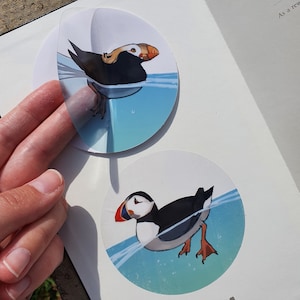Puffin swimming transparent vinyl stickers | Atlantic Puffin | Tufted Puffin |