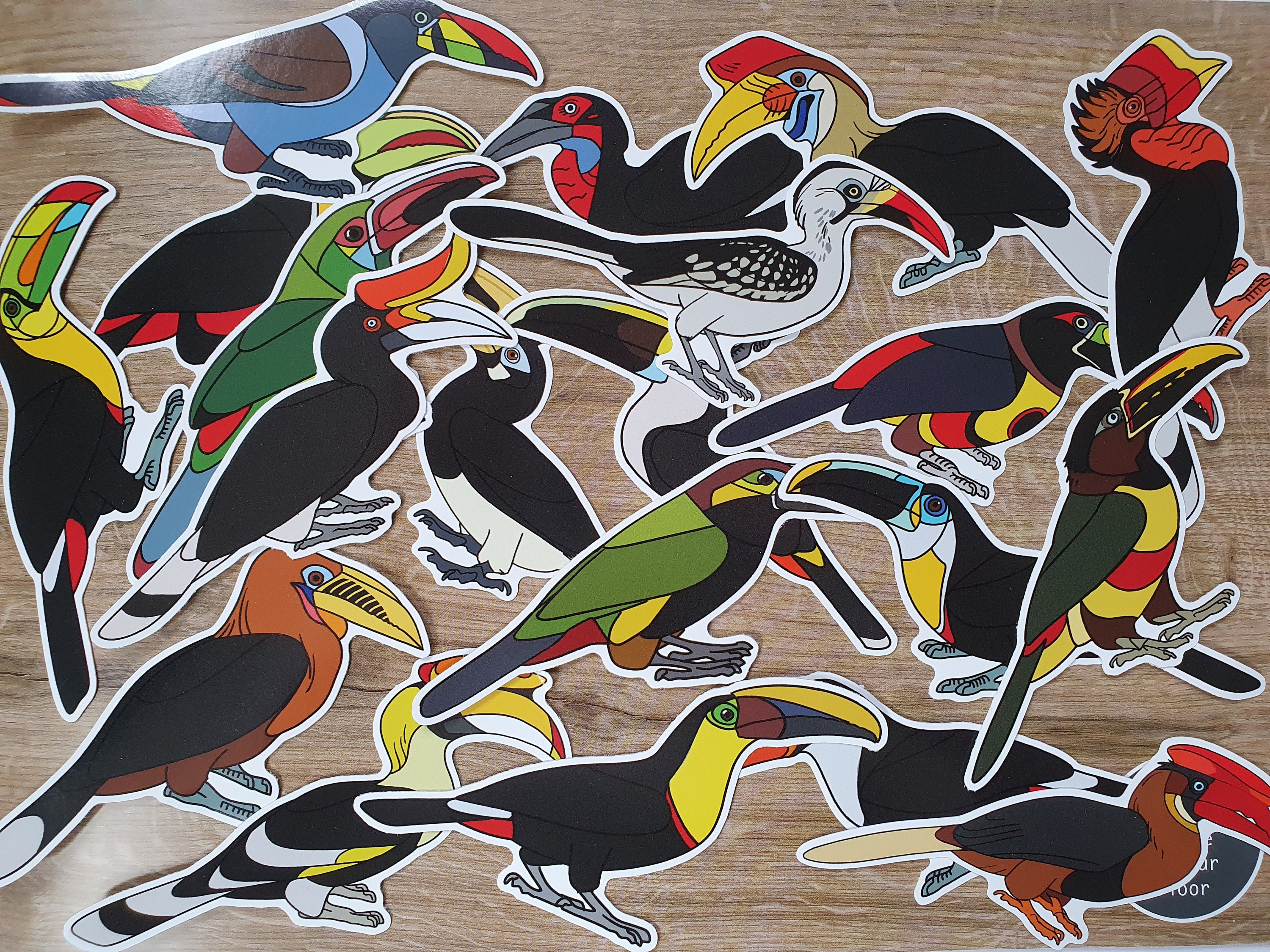 Toucan and Hornbill Species Stickers Fiery Billed Aracari - Etsy UK
