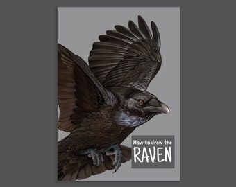 How to draw Ravens: Anatomy and wings