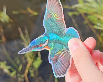 Kingfisher holographic vinyl sticker that is waterproof with a glossy shine