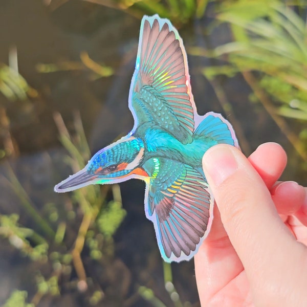 Kingfisher holographic vinyl sticker that is waterproof with a glossy shine