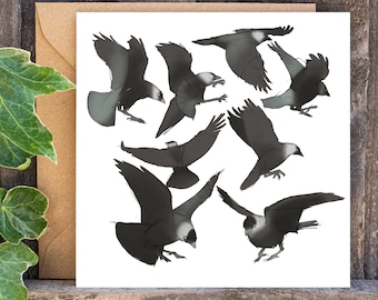 May include: A digital illustration of nine black and white birds in various poses, with wings spread and beaks open. The birds are drawn in a realistic style, with detailed feathers and markings.