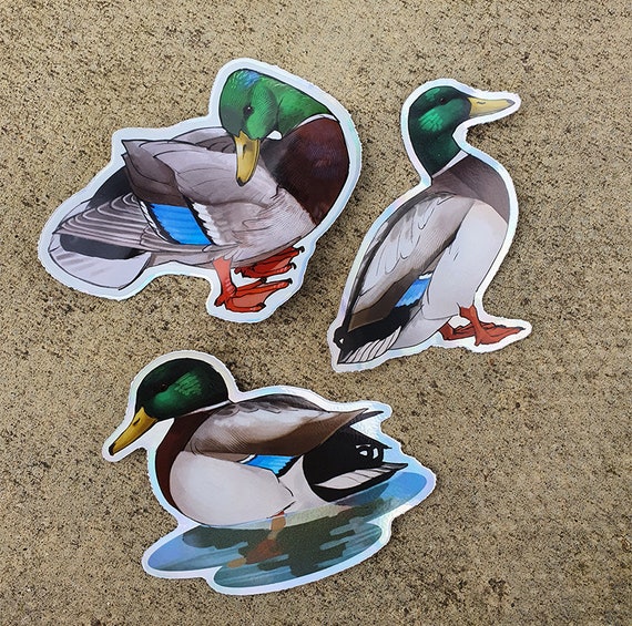 Paper duck  Pegatinas bonitas, Pato para pintar, Animales para