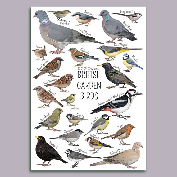 ★英国鳥類図鑑 モリス A History of British Birds ☆英国鳥類図鑑 モリス A History of British Birds ☆英国鳥類図鑑