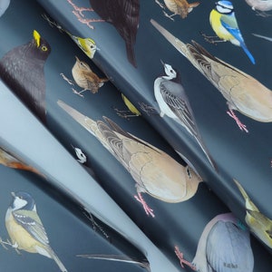 May include: A dark blue wrapping paper with a repeating pattern of various birds, including robins, sparrows, bluebirds, and blackbirds.