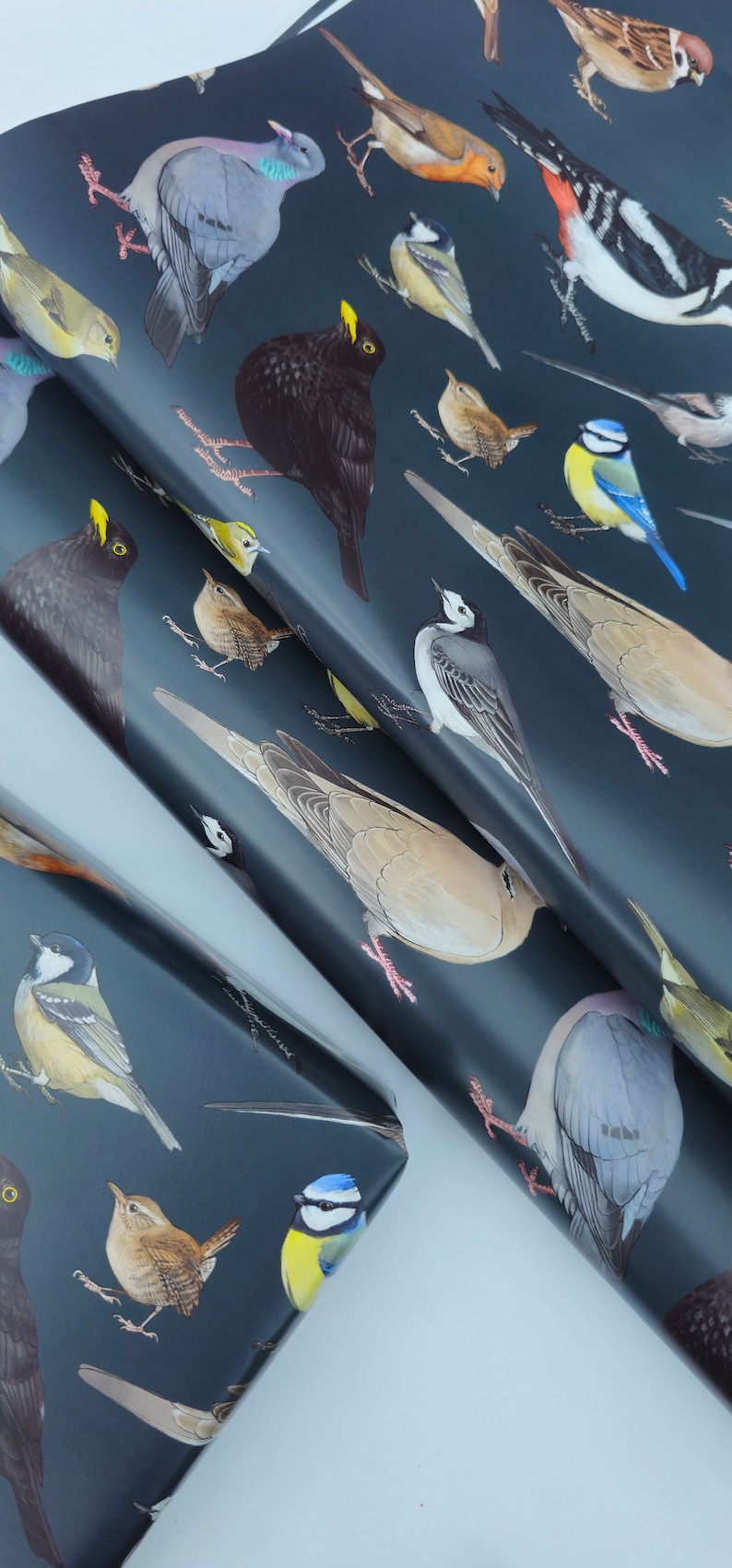 May include: A dark blue wrapping paper with a repeating pattern of various birds, including robins, sparrows, bluebirds, and blackbirds.