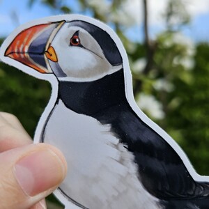 May include: A sticker of a puffin with a black and white body, an orange beak, and a white face. The puffin is looking to the right.