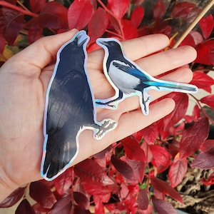 Corbeau et pie holographique | autocollant vinyle imperméable brillant