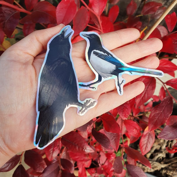 Krähe und Elster holographisch | Aufkleber Vinyl wasserfest glänzend