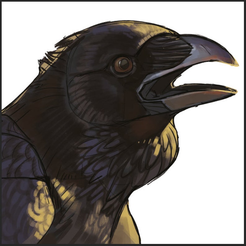 Crow and Raven XL Vinyl Stickers image 4