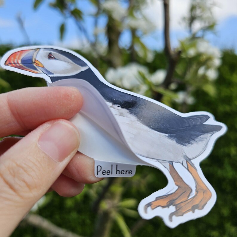 May include: A white and black puffin sticker with orange beak and feet. The sticker is being peeled off of a white backing with the text "Peel here" printed on it.