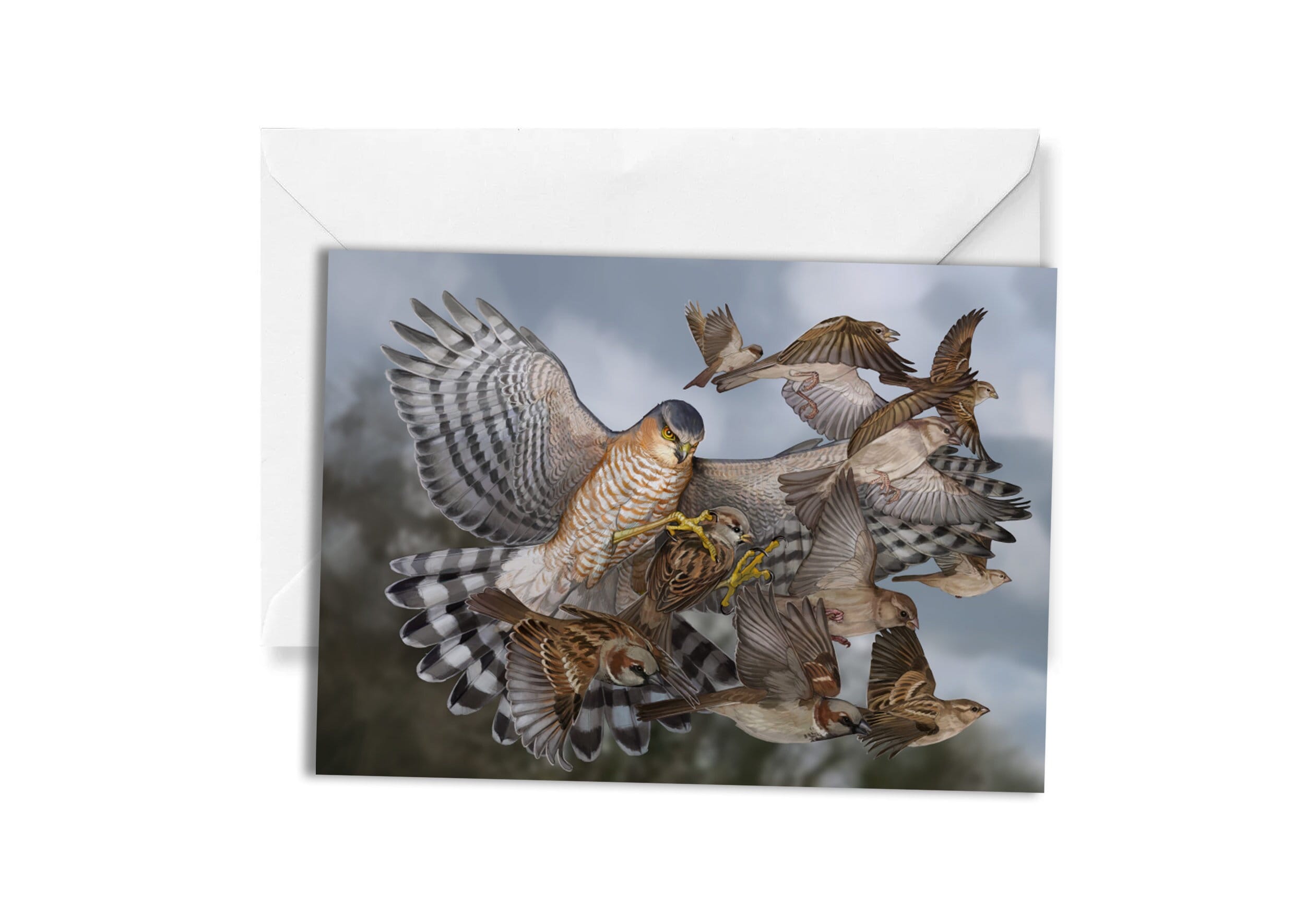Sparrow Hawk Catching Sparrows Dramatic A5 Card - Etsy