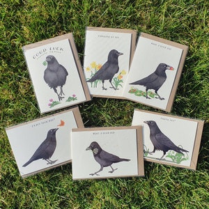 Corvids Crows bonne chance, anniversaire, merci, bonne journée, profitez-en Cartes de vœux | Oiseaux | Corbeau | Corbeau